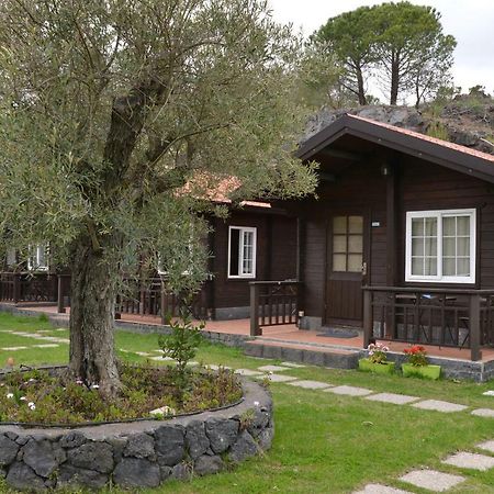 Etna Hut Bed & Breakfast Николози Екстериор снимка